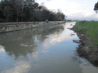 Foto-Cambi-Ombrone-PT-Bisenzio-21-01-13 242-R