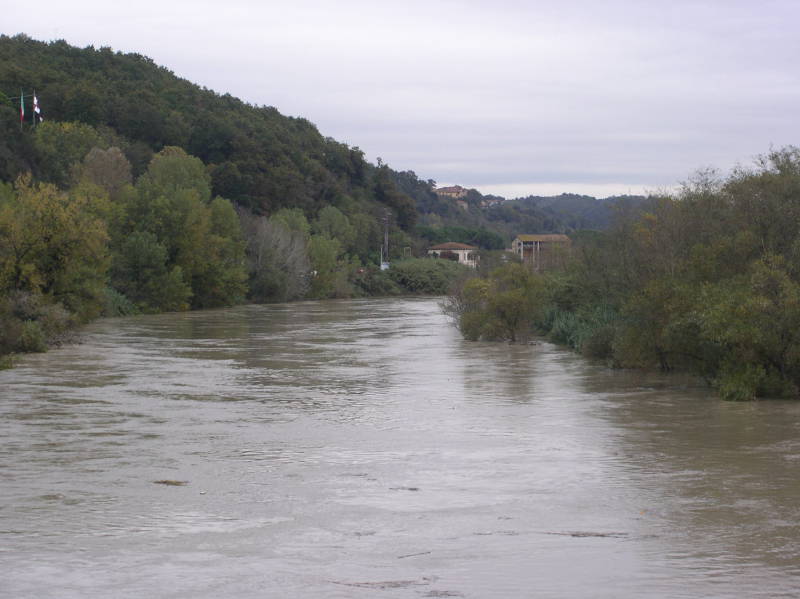 Arno a monte di Ponte alla Navetta, verso l'immissione del Canale di Usciana