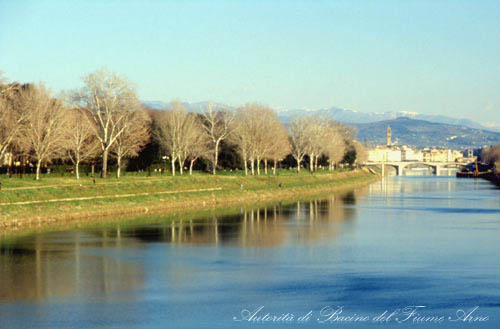 Le Cascine, Firenze     - [31.921 Kb]