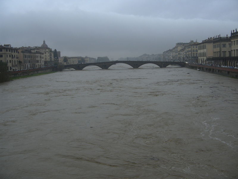 Vista del Ponte alla Carraria, dal ponte Santa Trinita - [51.138 Kb]